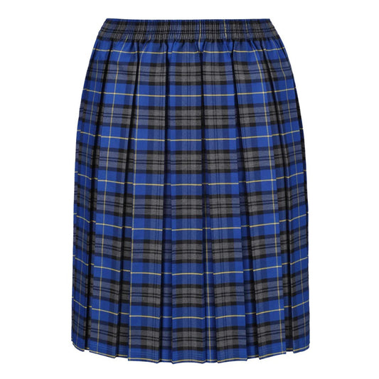 Winter bottoms Tartan Skirt Blue